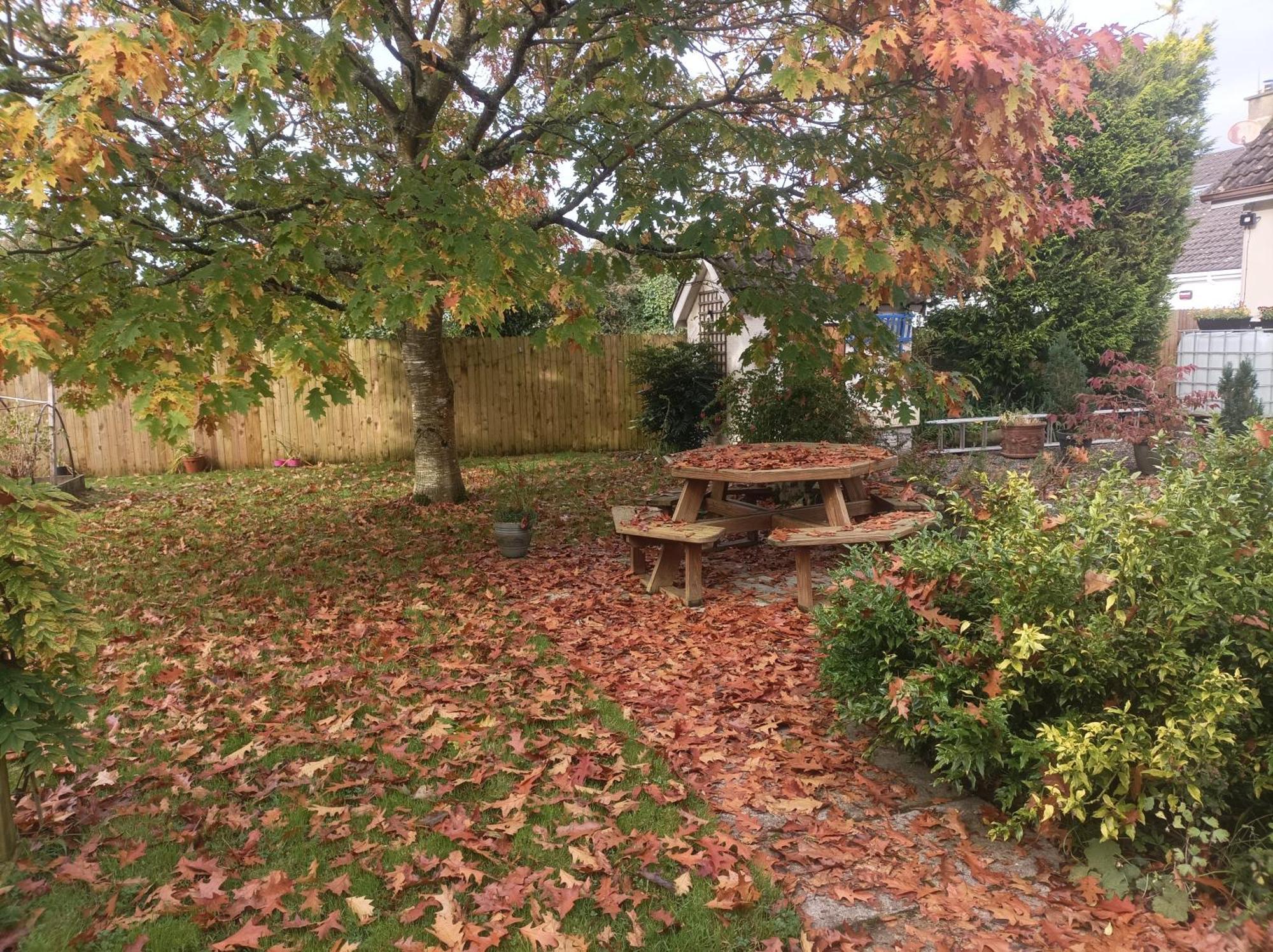 Twin Oaks Bed & Breakfast
